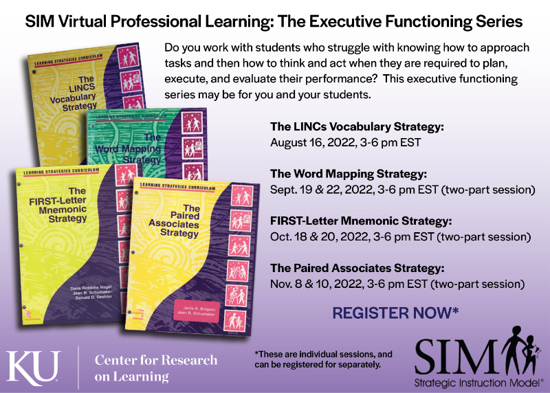 "SIM Executive Functioning Series online advertisement image"